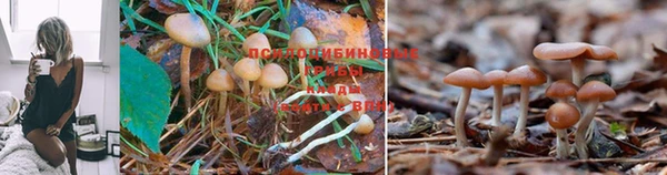 мдпв Горняк