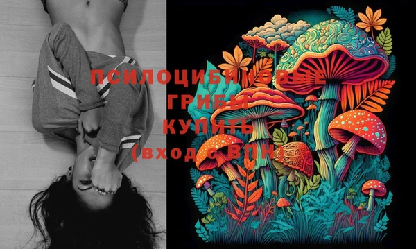 мет Горно-Алтайск
