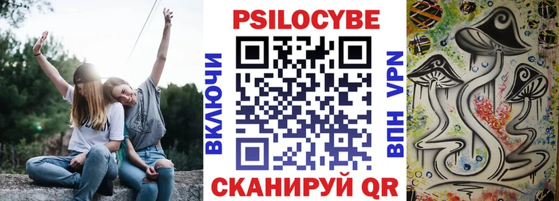 OMG зеркало  Новосокольники  Псилоцибиновые грибы прущие грибы  закладки 